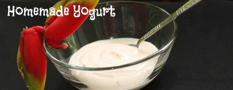 Homemade Yogurt FI with text