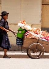 Woman Selling Flowers in Bolivia