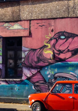 turtle-mural-santiago-chile