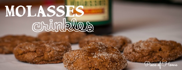 Molasses Crinkles FI