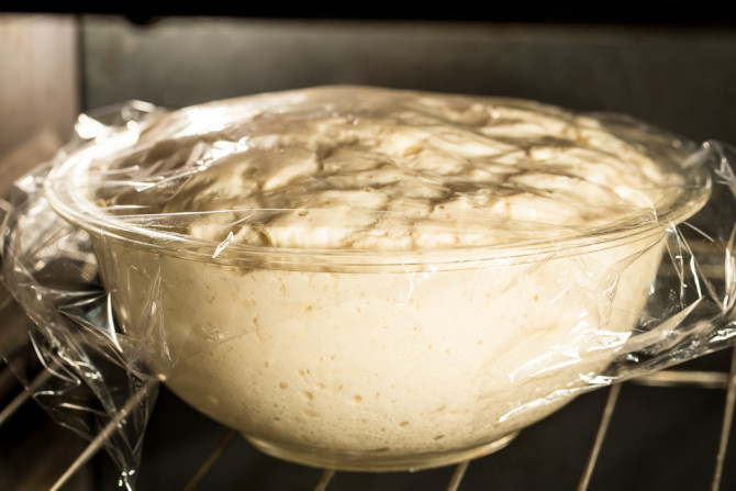 Artisan Bread - Rising Dough